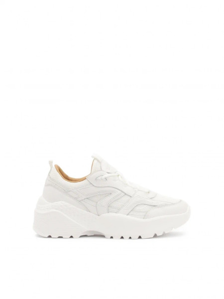 Mountain fox - Vector graphics