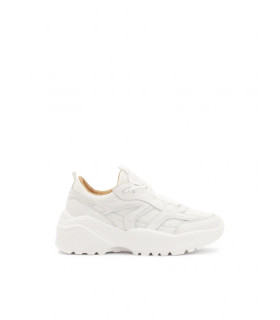 Mountain fox - Vector graphics